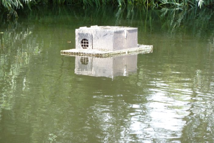 P1000635.JPG