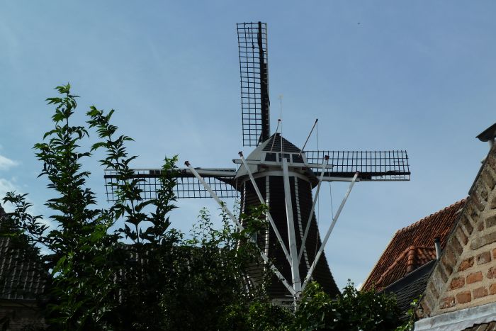 P1000697.JPG