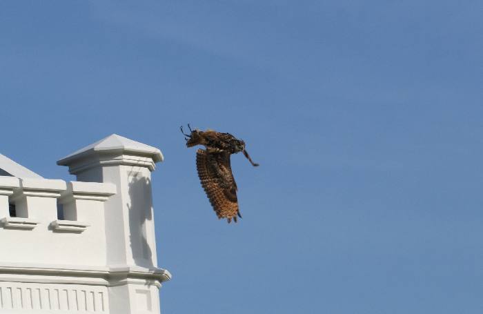 IMG_8279.JPG