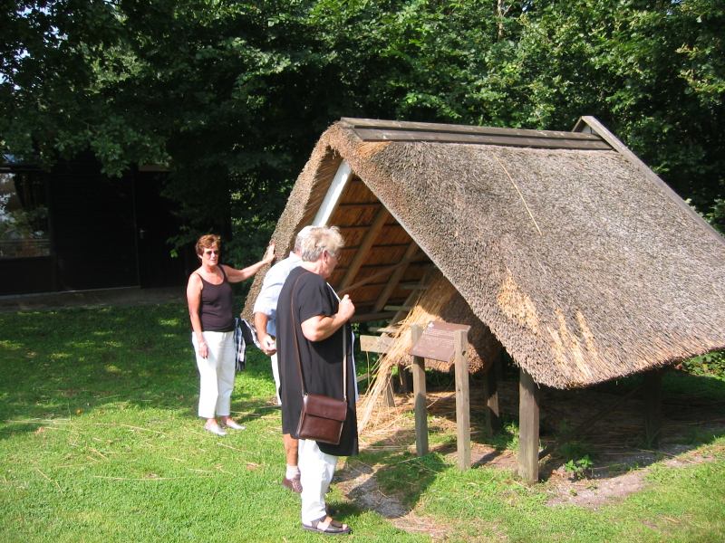 V50IMG_0955
