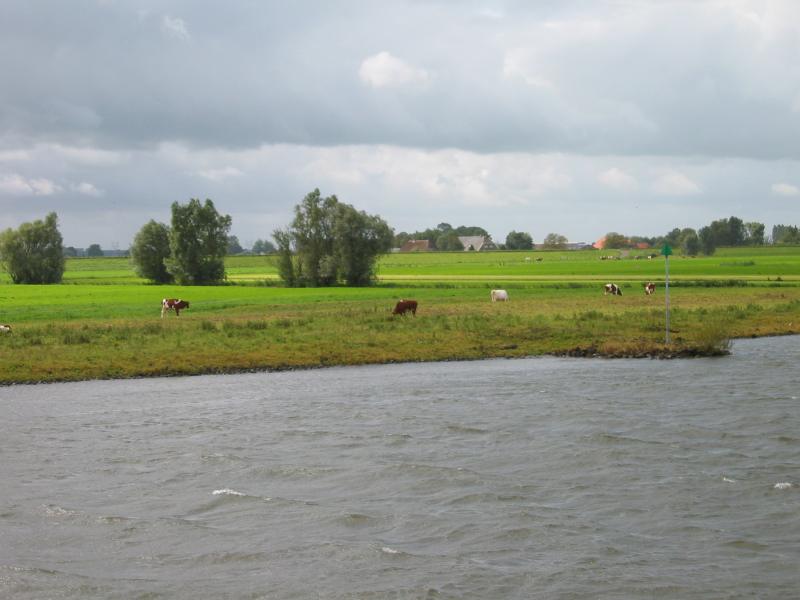 V54IMG_3999