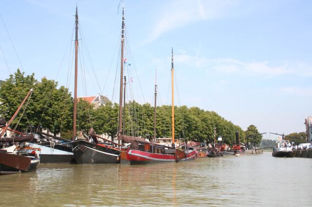 V55IMG_2888