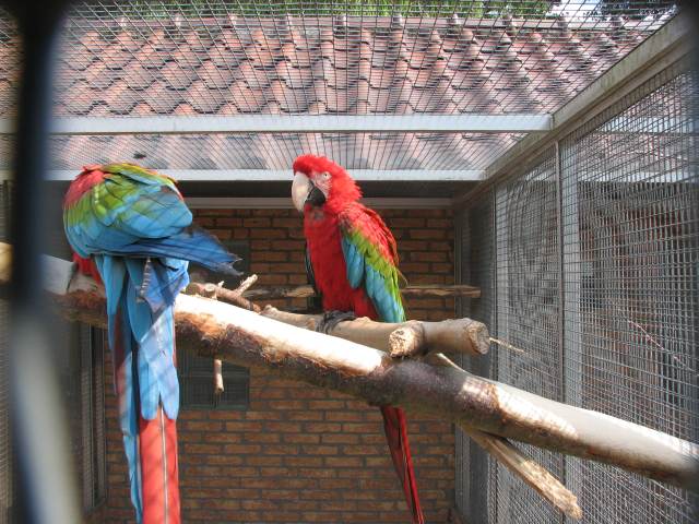 V58IMG_1417