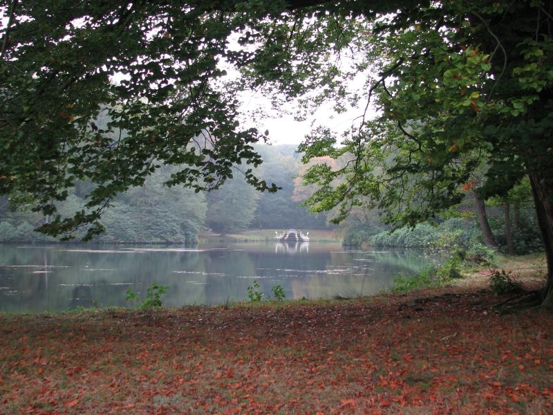 V62IMG_4974