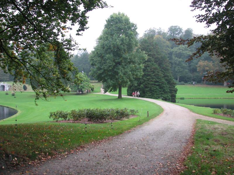 V62IMG_4975