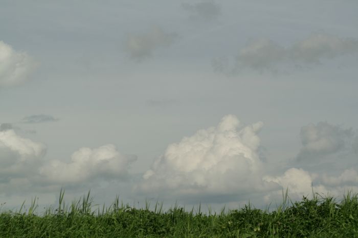 V6701035