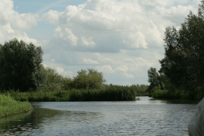 V67020215