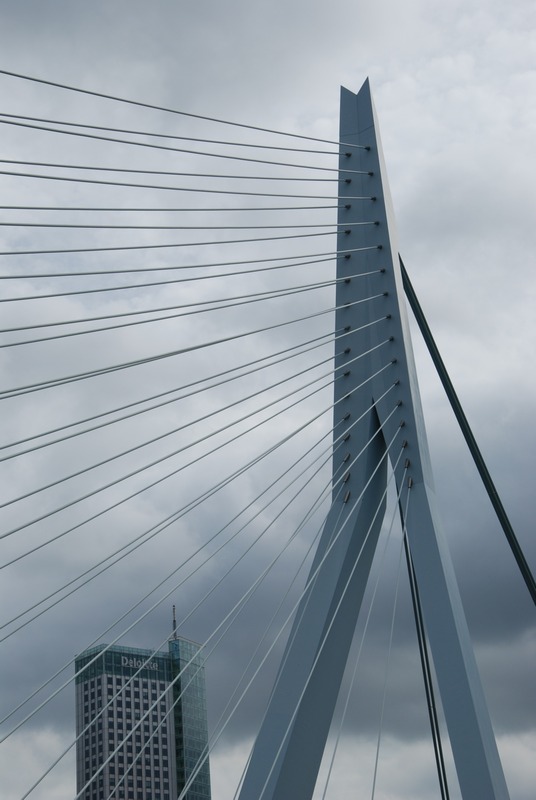 Dsc_0547